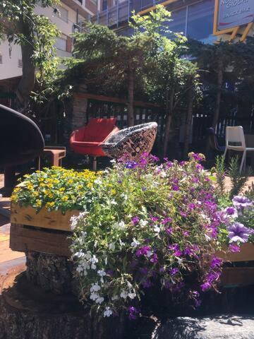 Oulx Hotel Derby Bar מראה חיצוני תמונה